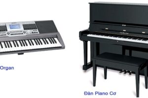 So sánh đàn Organ và đàn Piano