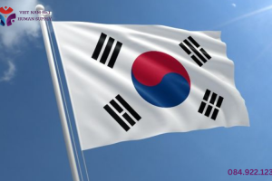 Xuất khẩu lao động Hàn Quốc và những điều bạn nên biết về xuất khẩu lao động Hàn Quốc