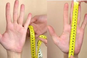 Hướng dẫn cách đo size găng tay y tế chính xác