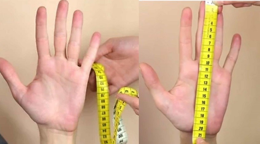 Hướng dẫn cách đo size găng tay y tế chính xác