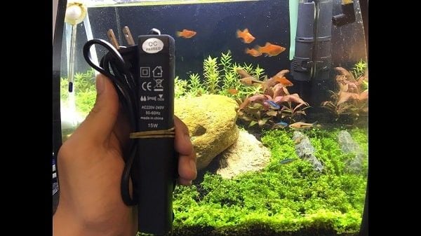 Các loại máy sục khí bể cá nhỏ phổ biến
