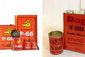 So Sánh Chi Tiết Keo Rồng Vàng P66 Và Keo Con Chó X66