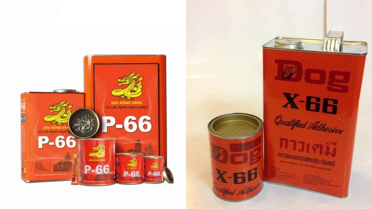 So Sánh Chi Tiết Keo Rồng Vàng P66 Và Keo Con Chó X66