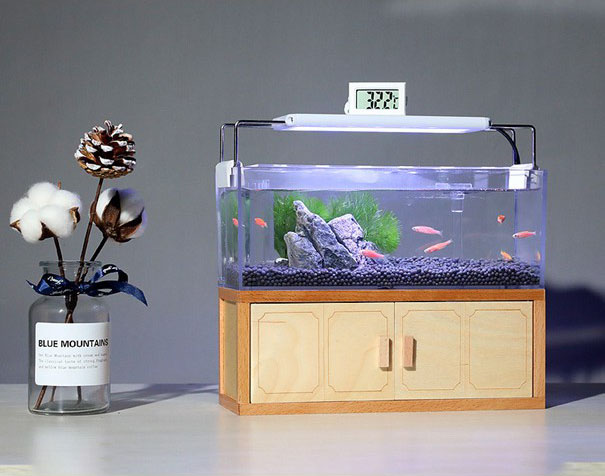 Xu hướng đèn bể cá mini tại Hà Nội
