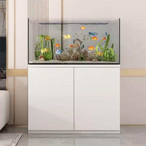 Hướng dẫn lắp đặt bể cá chân tủ