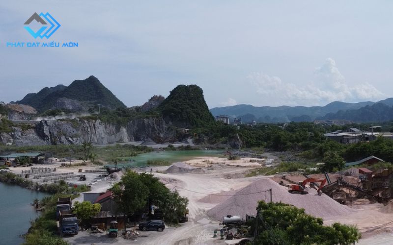 Giới thiệu nhà máy gạch vỉa hè Phát Đạt